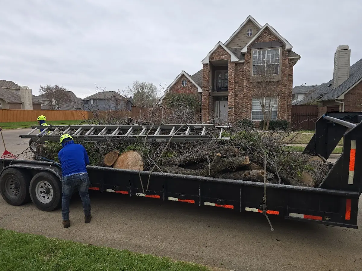 Expert Tree Removal with proper safety equipment in Castleton